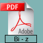 PDF-Download 'Bi - z'